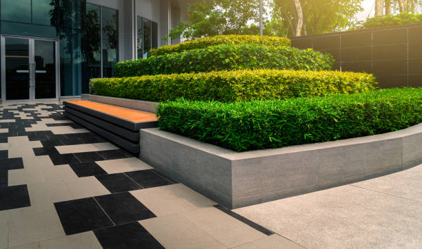 Best landscaping companies in Dubai